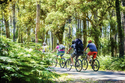 Per Rad von der Neiße in den Spreewald / BOZ